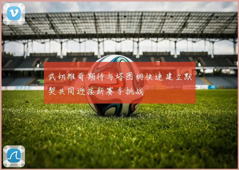 武切维奇期待与塔图姆快速建立默契共同迎接新赛季挑战